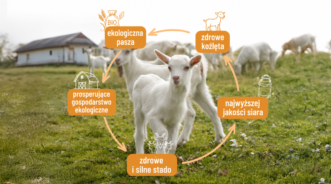 Odkud se bere kolostrum - 3 obrázek